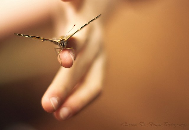 官方认证可用的呼死NI